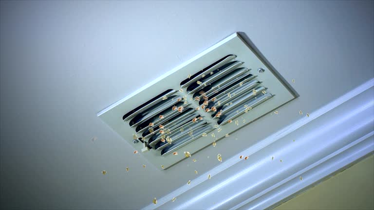 Best Best Air Duct Cleaning Company  in Susanville, CA