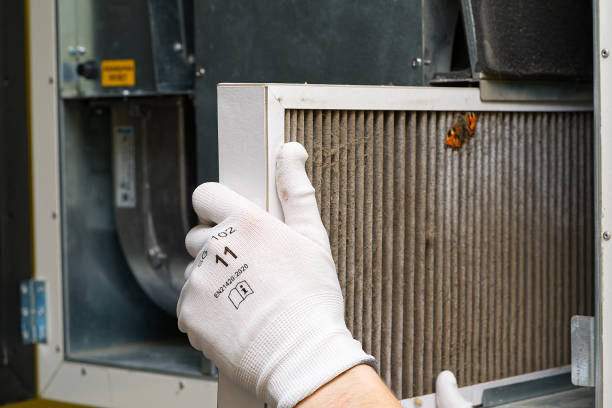 Air Duct Mold Removal in Susanville, CA