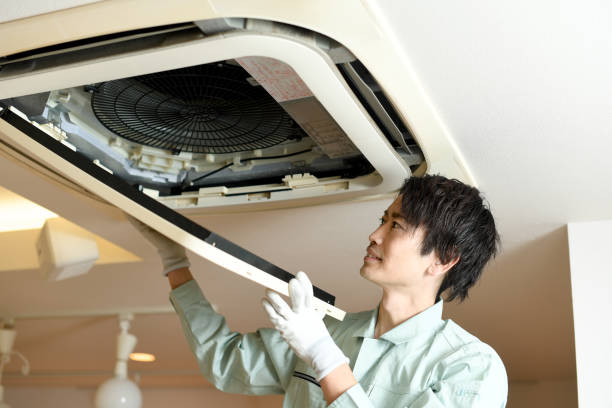 Best Home Air Vent Cleaning  in Susanville, CA